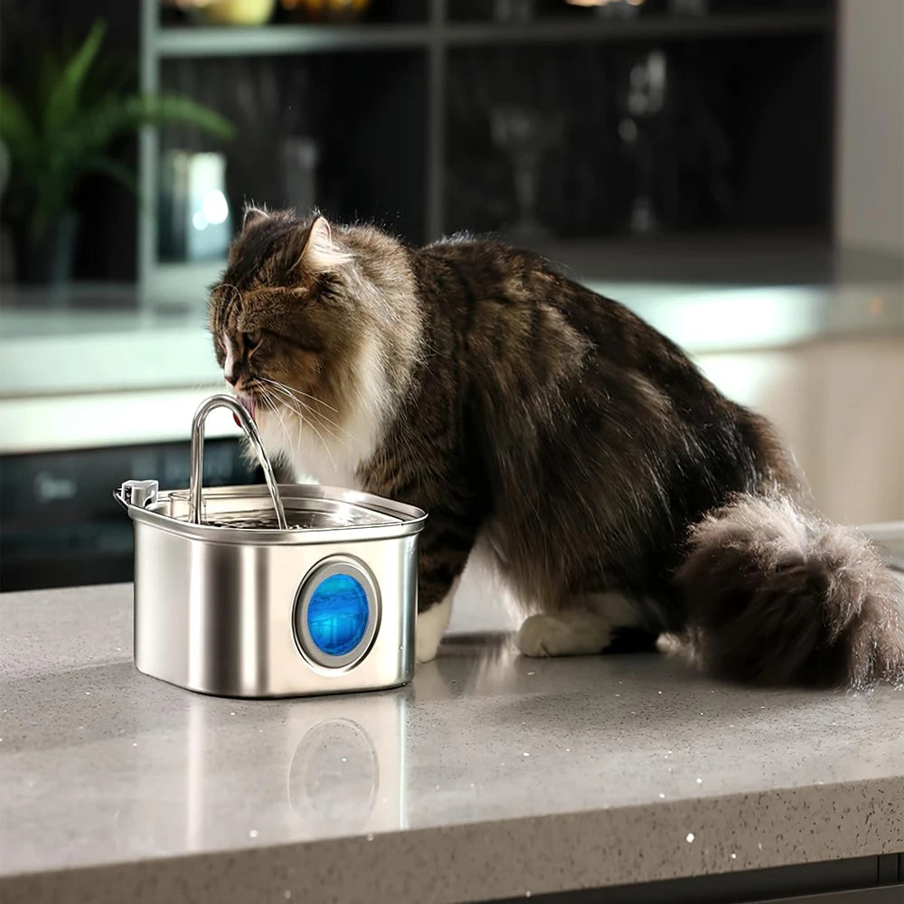 Schütze deine Katze vor Dehydration und Harnwegsnotfällen mit trinkbrunen