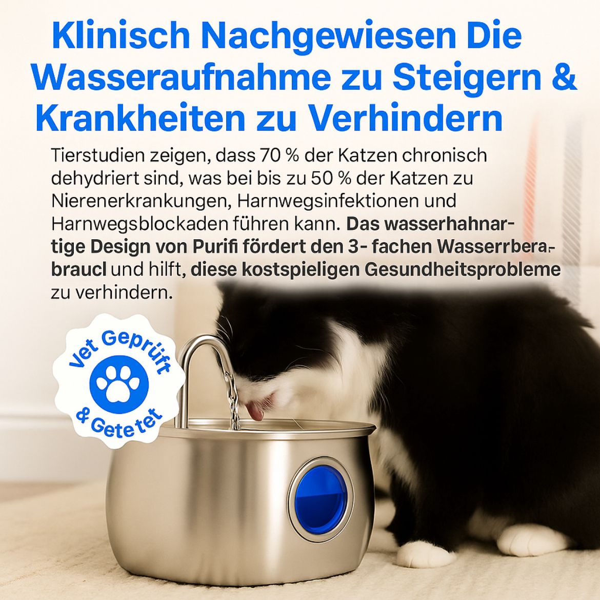 Schütze deine Katze vor Dehydration und Harnwegsnotfällen mit trinkbrunen